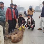 FB_IMG_1768140966150