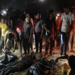 hathasa-ka-btha-pacathavara-ma-pahaca-palsa_6b269214b20e237a6a3718176df0ed2b